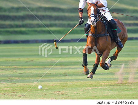 The polo player is riding on a horse The polo player is riding on a horse 38445838