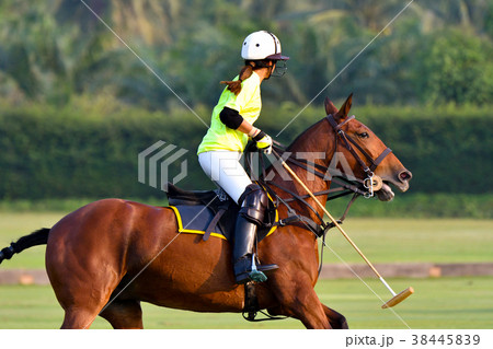 Lady horse polo players are competin 38445839