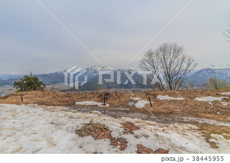 春の坂戸城跡の広瀬曲輪からみた実城の風景 38445955