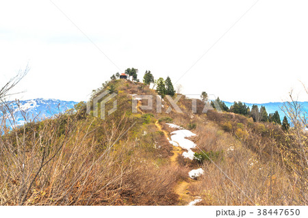 春の坂戸城跡の風景 38447650