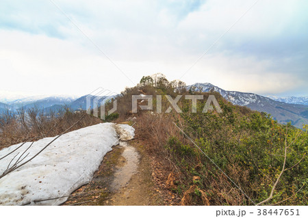春の坂戸城跡の風景 38447651