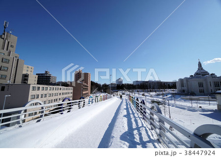 札幌 白石サイクリングロード(陽だまりロード大谷地西1丁目付近) 札幌 白石サイクリングロード(陽だまりロード大谷地西1丁目付近) 38447924