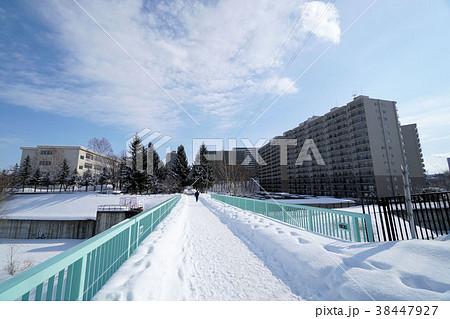白石サイクリングロード（陽だまりロード大谷地東7丁目付近） 38447927