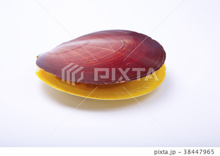 ツキヒガイ 食材 ツキヒガイ 食材 38447965
