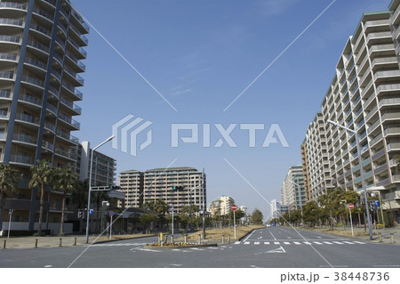 浦安市 2月 浦安市 2月 38448736