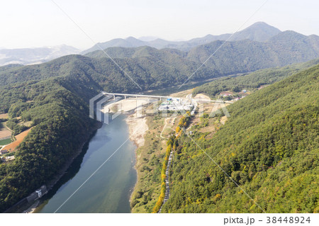 木 植物 空 38448924