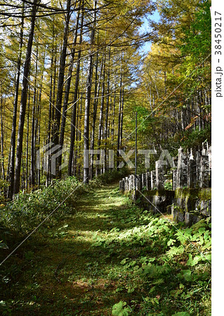 御嶽古道 修行道 御嶽古道 修行道 38450217