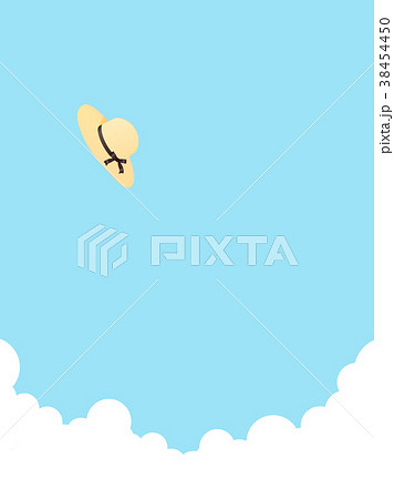 麦わら帽子 麦わら帽子 38454450