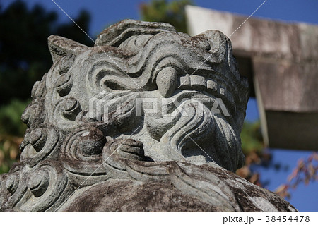 狛犬 38454478