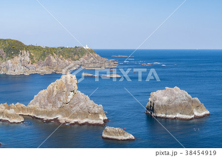 海金剛 海金剛 38454919