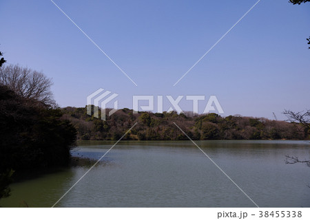 森と池の風景 森と池の風景 38455338