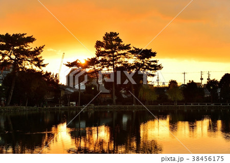 猿沢池の夕暮れ 猿沢池の夕暮れ 38456175