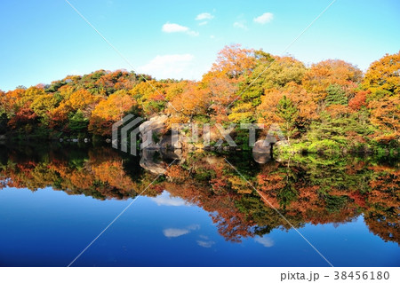 高山の池と黄葉 38456180