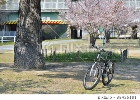 武庫川　サイクリング 38456181