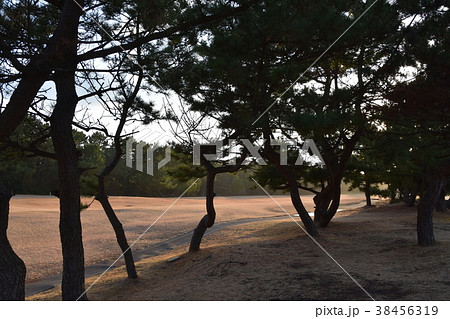 冬のゴルフ場 38456319