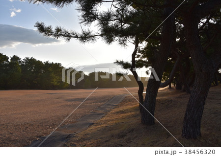 冬のゴルフ場 38456320