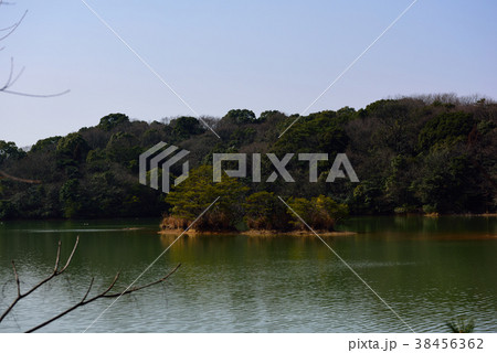 森と池の風景 38456362
