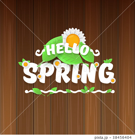 vector hello spring banner with text and flowers 38456404