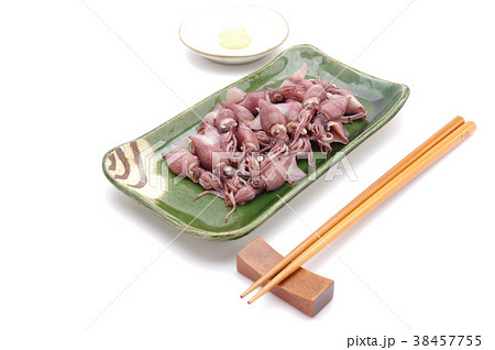 ホタルイカ 38457755