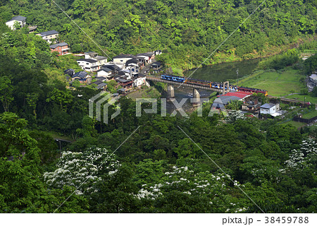 春 泉 湧水 38459788