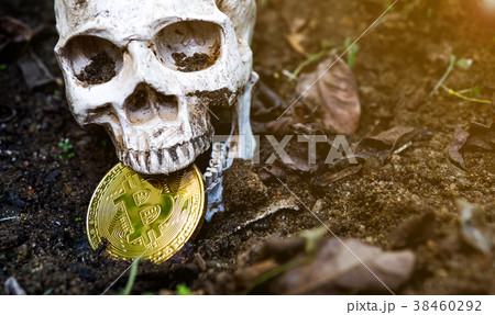 Skull biting bitcoin on the ground Leave 38460292