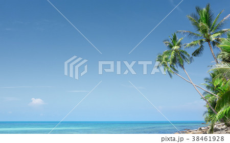 in tropic 38461928