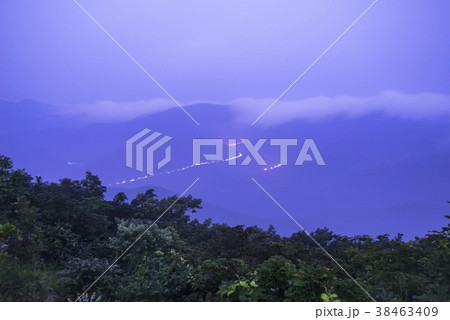 風景 江原道 木 38463409