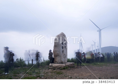 江原道 木 メボンサン 38463413