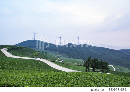 田畑 タービン 風景 38463421
