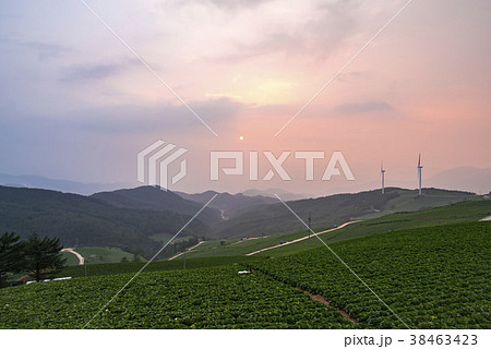 田畑 タービン 風景 38463423