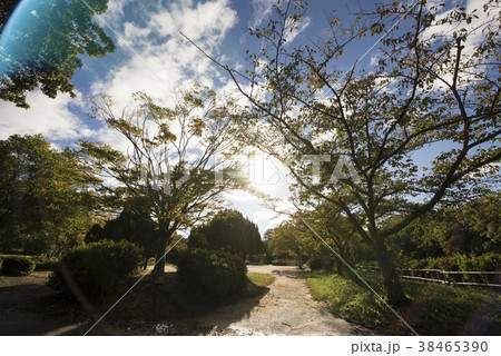 朝の散歩道イメージ 38465390