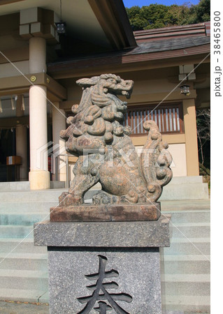 光雲神社の狛犬(福岡市) 光雲神社の狛犬(福岡市) 38465800