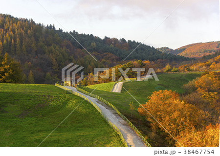 山 紅葉 風景 38467754