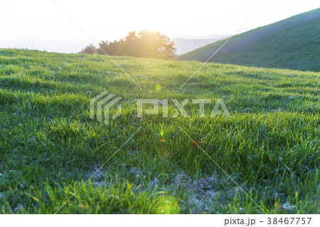 風景 建築 牧場 38467757