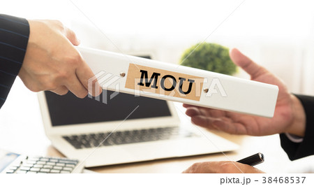 mou mou 38468537
