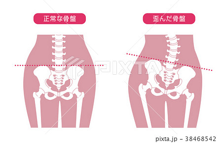 人体骨格 腰部 ピンク 38468542