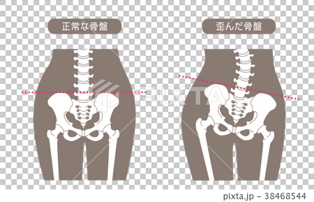 人體骨骼低背棕色 38468544