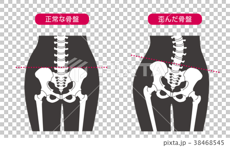 人體骨骼腰部黑色 38468545