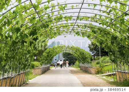 公園 ワールドカップ公園 自然 38469514