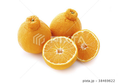 不知火(デコポン) 38469622