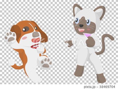 Tipsy dog and cat Tipsy dog and cat 38469704
