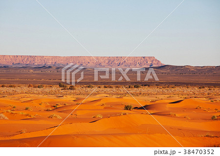 Sand desert 38470352