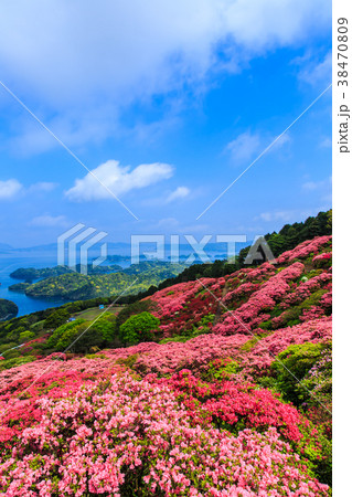 長串山公園のつつじと九十九島　【長崎県佐世保市鹿町町】 38470809
