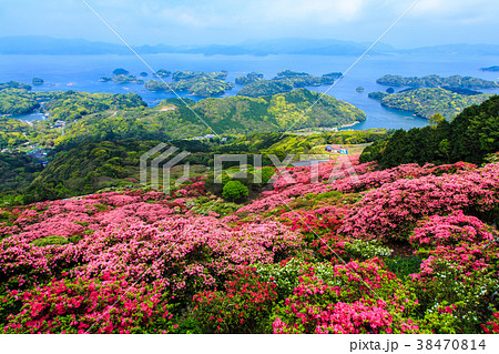 長串山公園のつつじと九十九島 【長崎県佐世保市鹿町町】 長串山公園のつつじと九十九島 【長崎県佐世保市鹿町町】 38470814