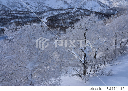 北海道スキー場（キロロリゾート） 38471112