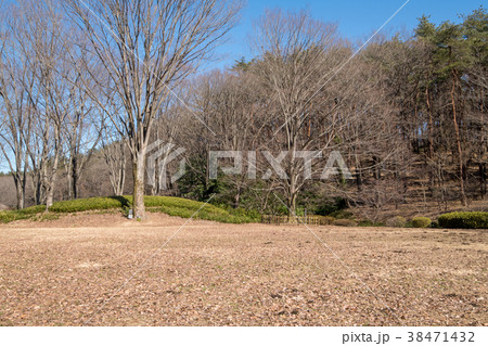 国営　武蔵丘陵　森林公園 南口広場　 38471432