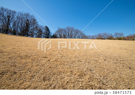 国営 武蔵丘陵 森林公園 展望広場 青空 国営 武蔵丘陵 森林公園 展望広場 青空 38471573