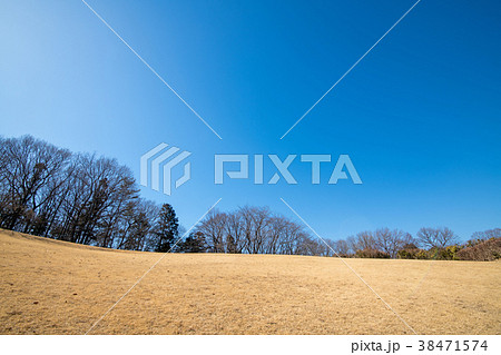 国営　武蔵丘陵　森林公園 展望広場　青空 38471574
