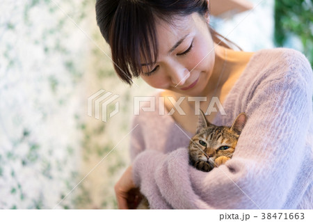 猫　アニマルセラピー　ペット 38471663