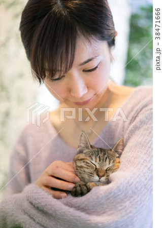 猫 アニマルセラピー ペット 猫 アニマルセラピー ペット 38471666